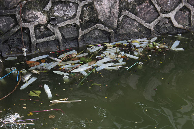 Hồ[-]Tây[-]tràn[-]ngập...[-]bao[-]cao[-]su[-]sau[-]cơn[-]mưa[-]lớn